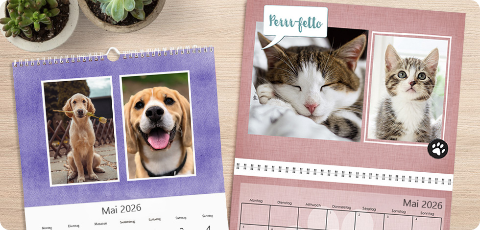 Geschenkidee für Tierliebhaber 3: Erstellen Sie einen Kalender